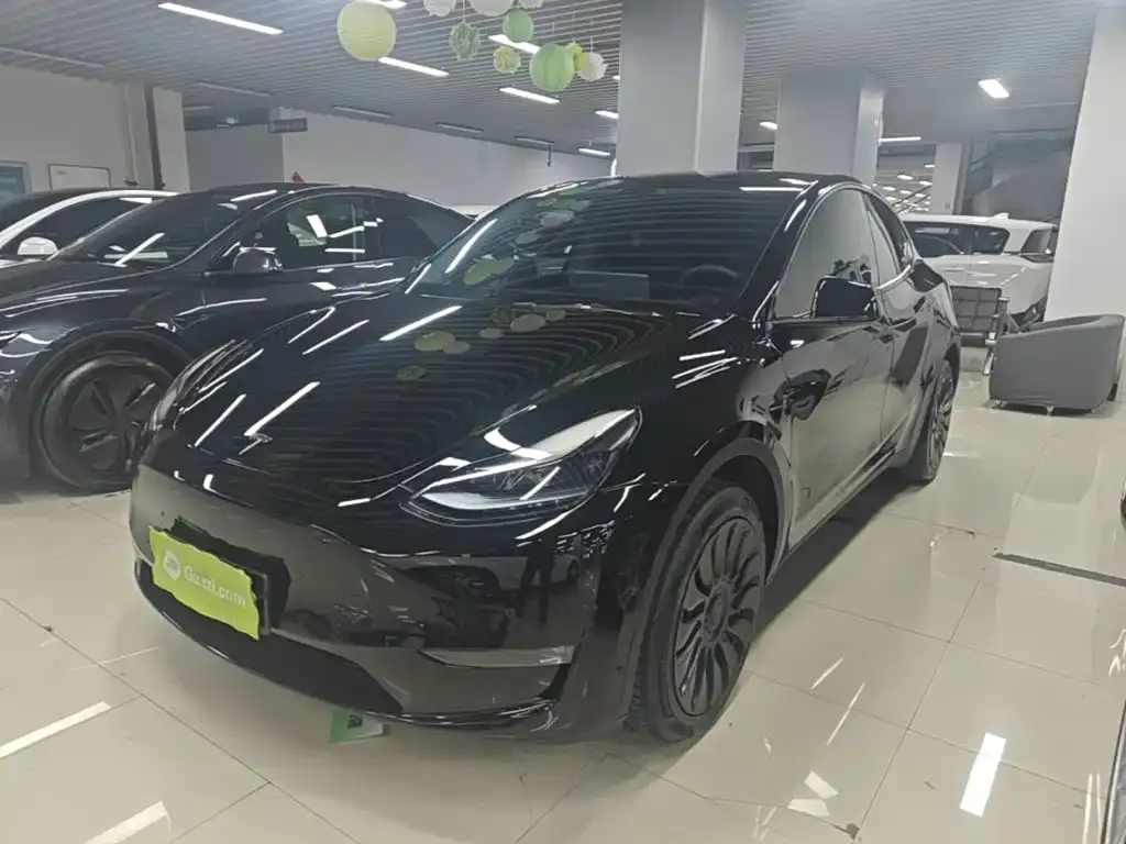 Tesla Model Y — фото 9
