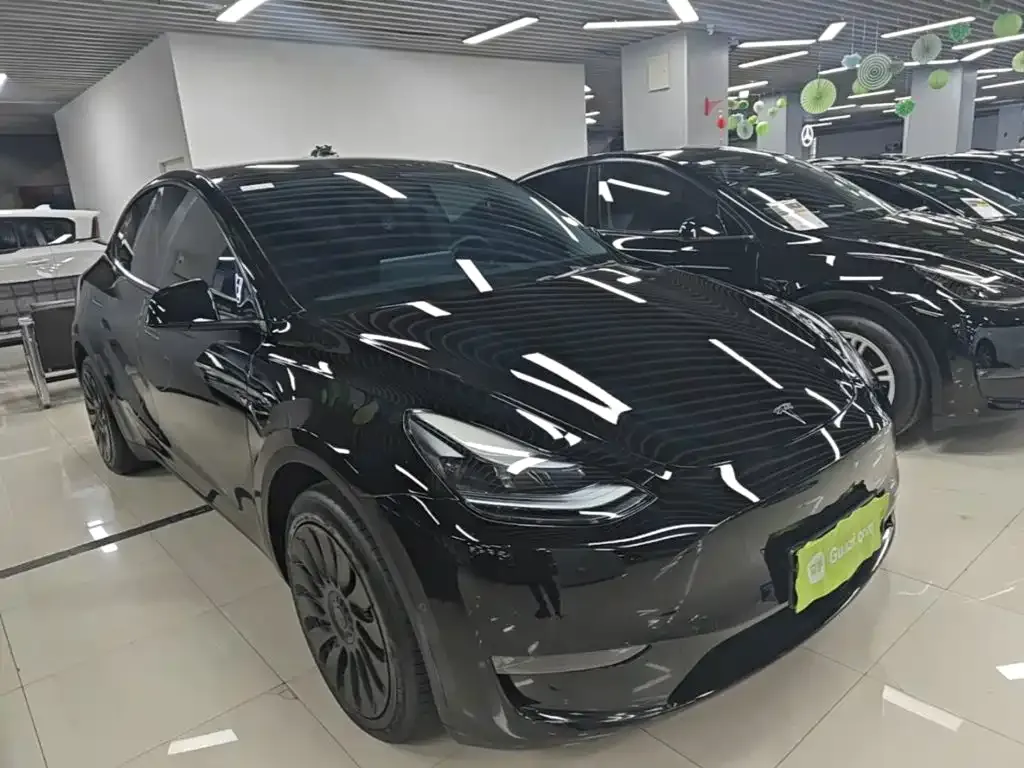 Tesla Model Y — фото 10