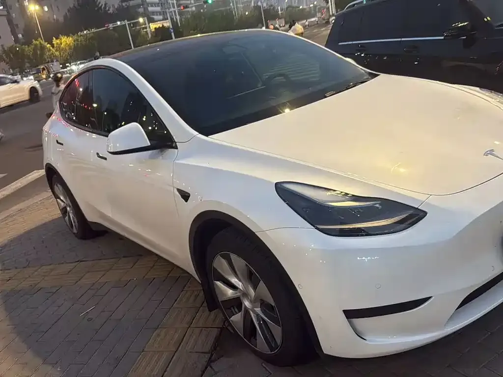 Tesla Model Y — фото 5