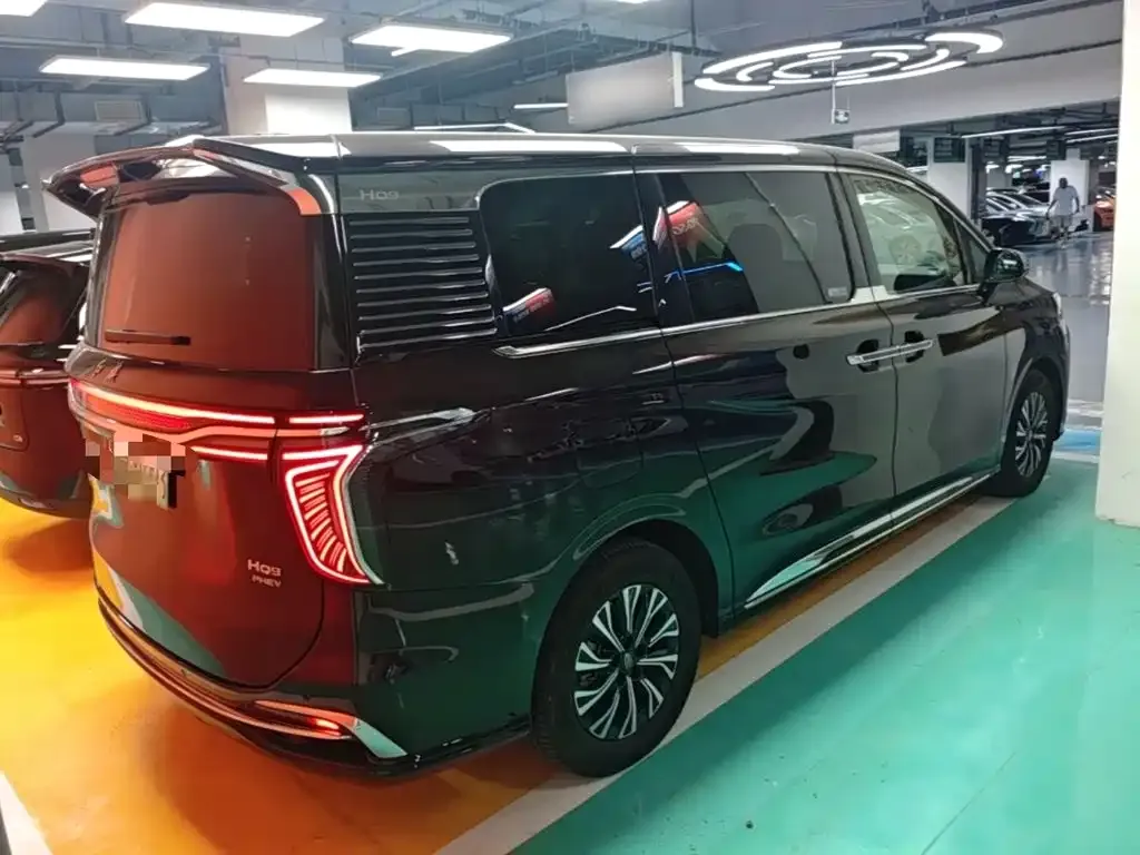 Hongqi HQ9 PHEV — фото 8