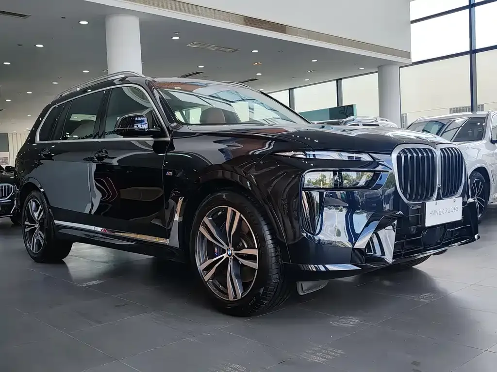 BMW X7 — фото 2