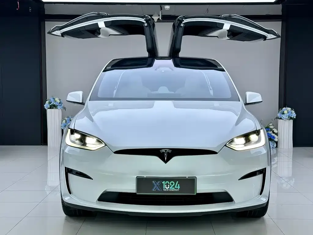 Tesla Model X — фото 5