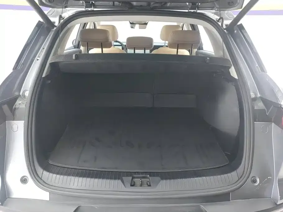 BYD Pro New Energy — фото 4