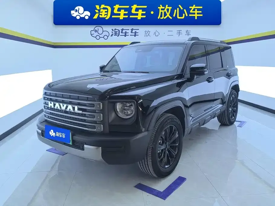 Haval Menglong New Energy — фото 1