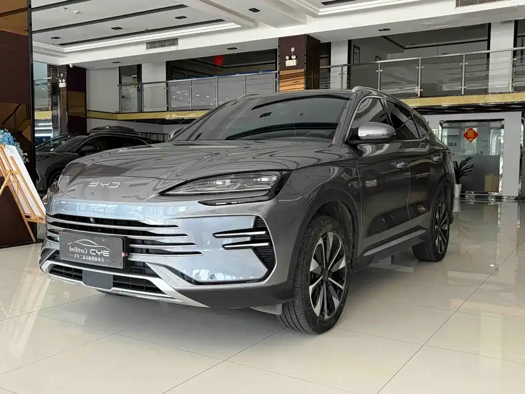 BYD PLUS New Energy — фото 1