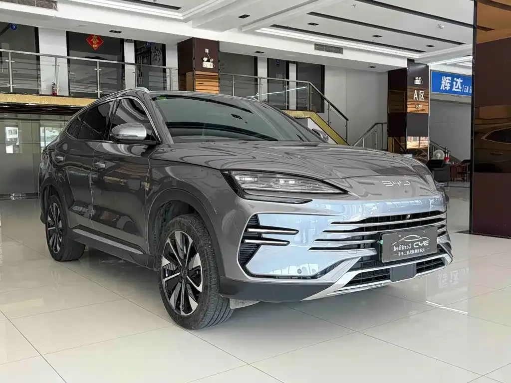 BYD PLUS New Energy — фото 7