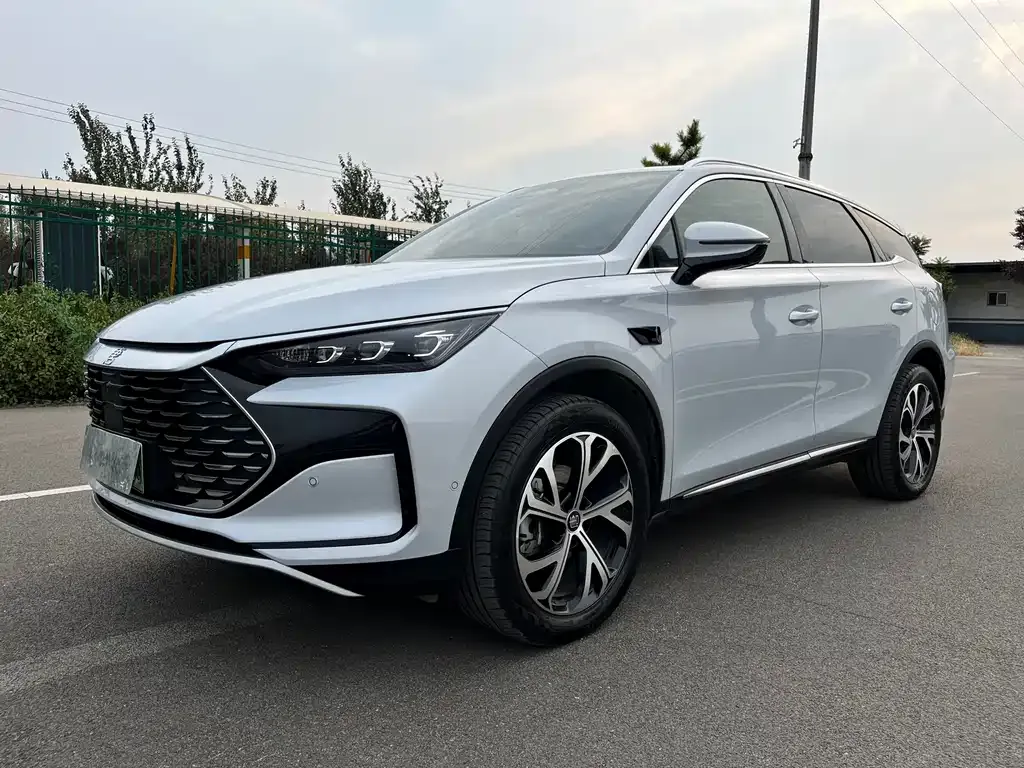 BYD Tang New Energy — фото 1