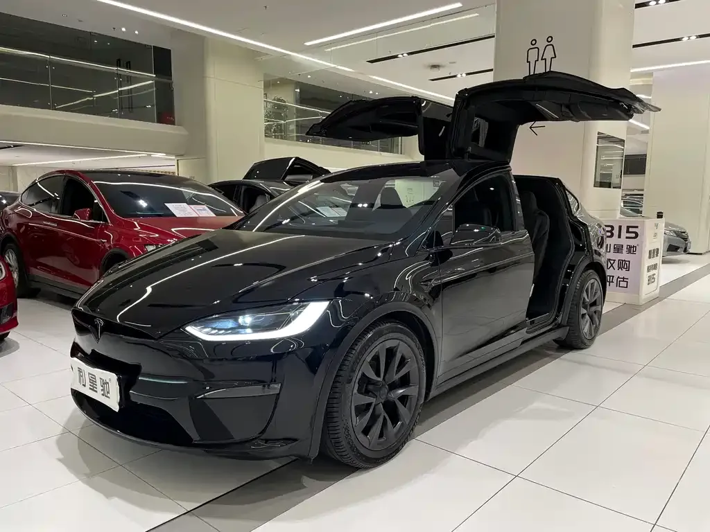 Tesla Model X — фото 1