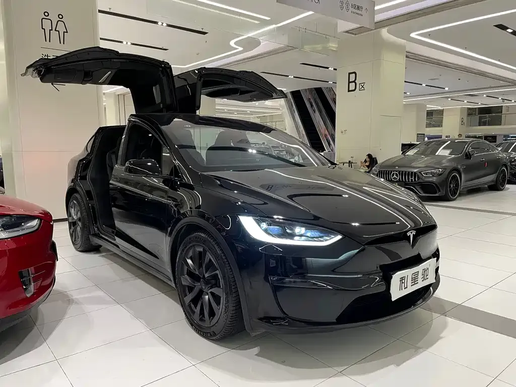 Tesla Model X — фото 7