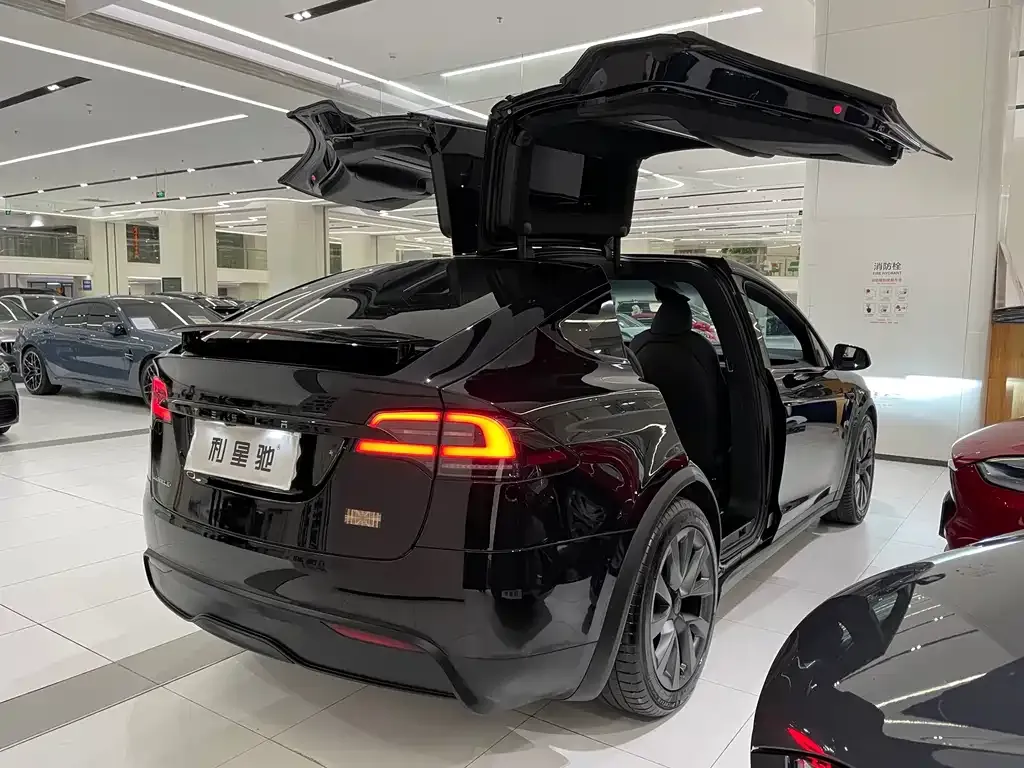 Tesla Model X — фото 5