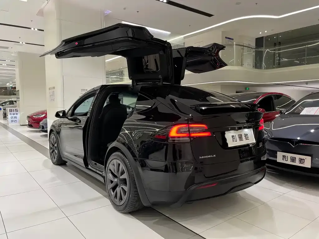 Tesla Model X — фото 6