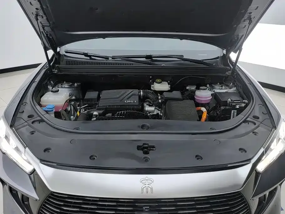 BYD Pro New Energy — фото 2