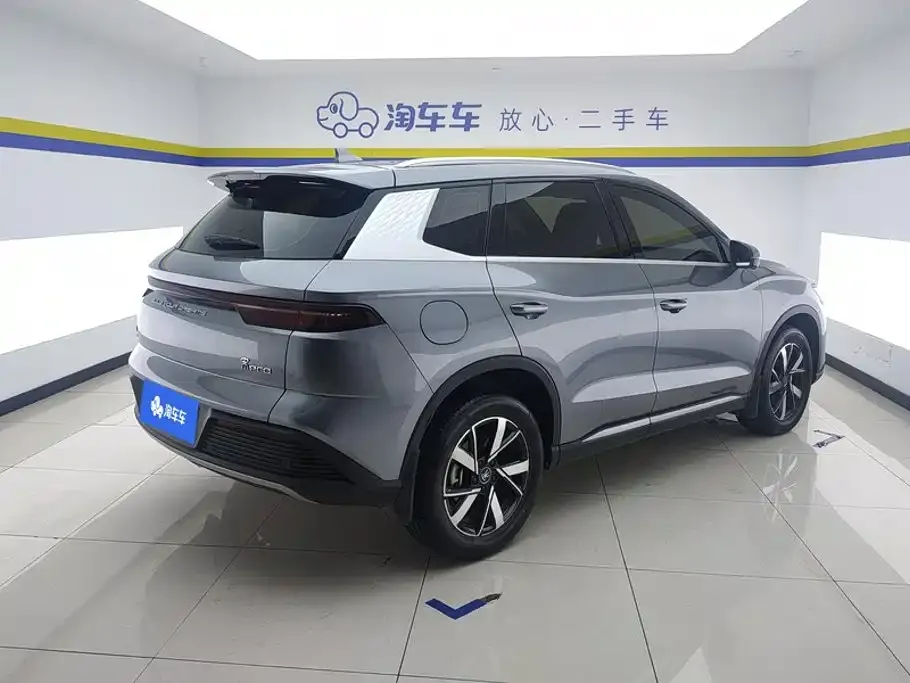 BYD Pro New Energy — фото 5