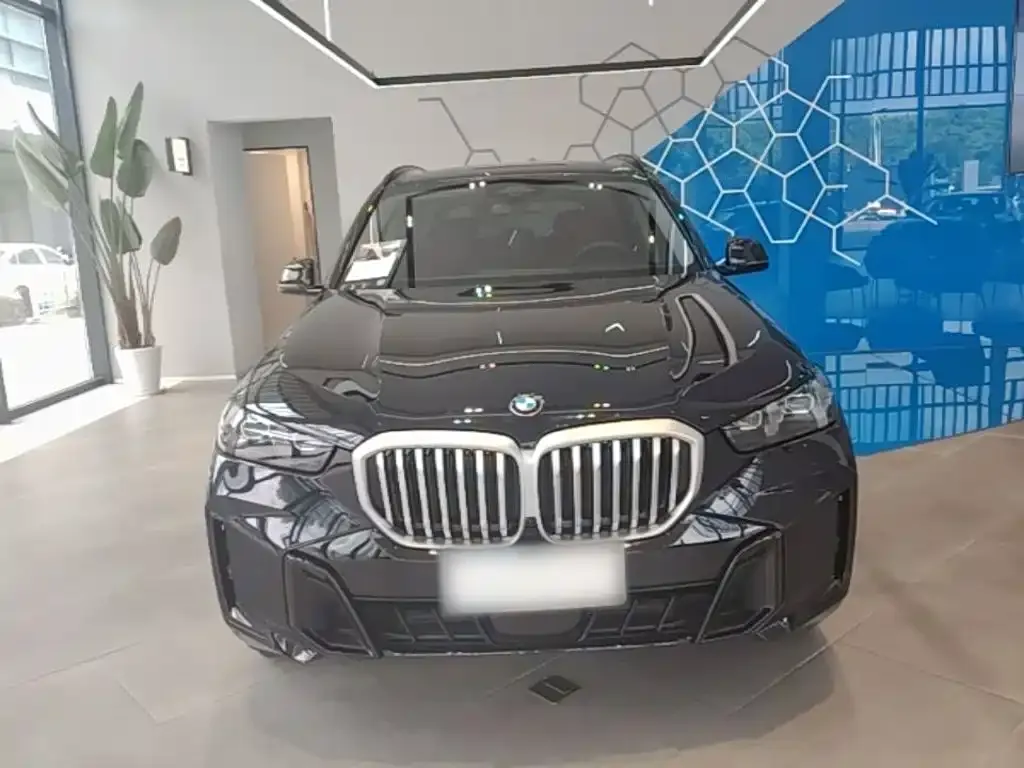 BMW X5 — фото 2