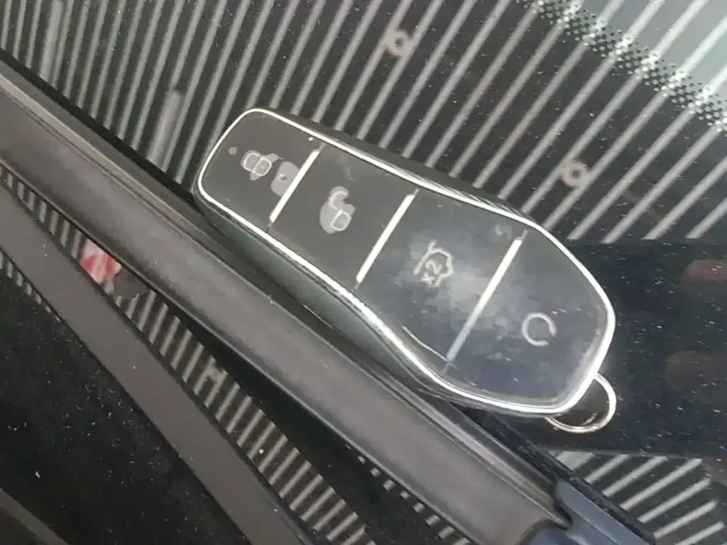 BYD L DM-i — фото 2