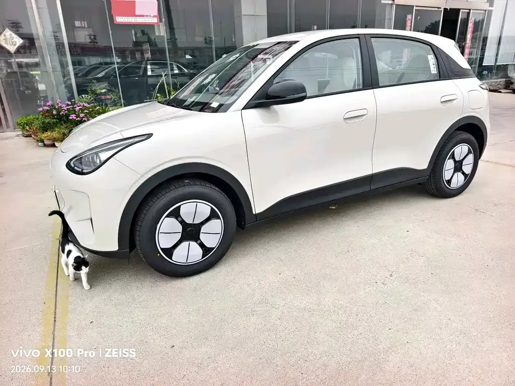 Geely Starburst — фото 4