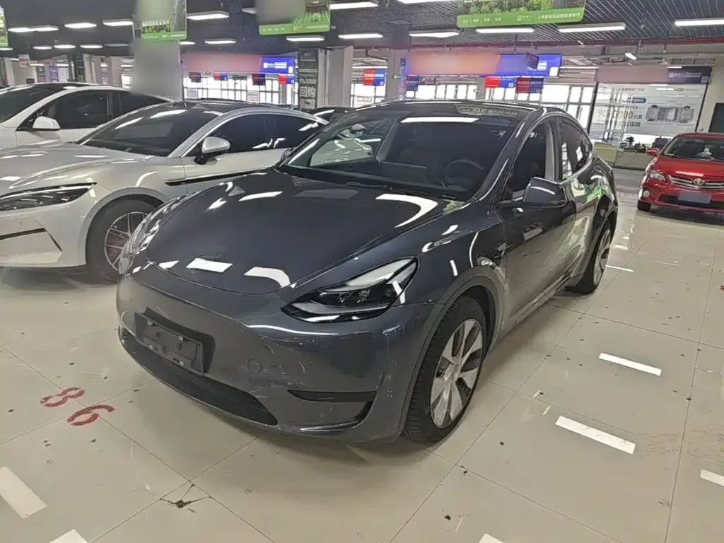 Tesla Model Y — фото 1