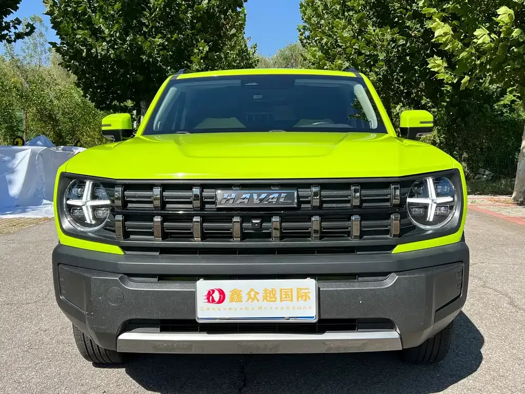 Haval Cool Dog — фото 5