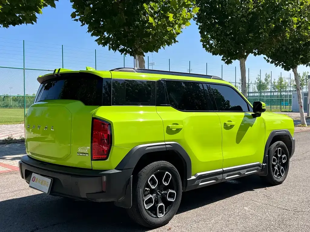 Haval Cool Dog — фото 10