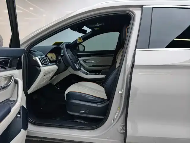 BYD PLUS New Energy — фото 10