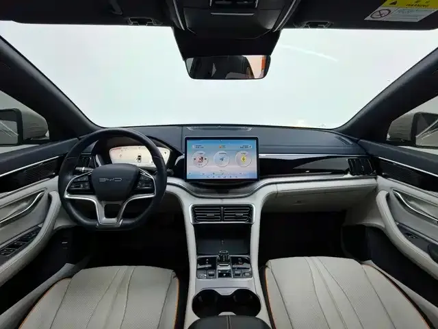 BYD PLUS New Energy — фото 3