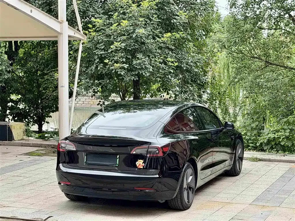 Tesla Model 3 — фото 8