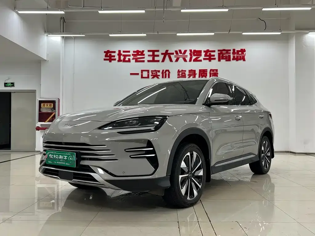 BYD PLUS New Energy — фото 1