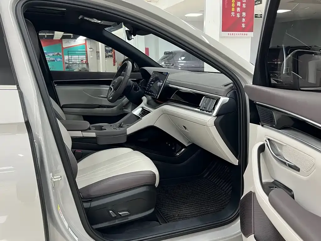 BYD PLUS New Energy — фото 8