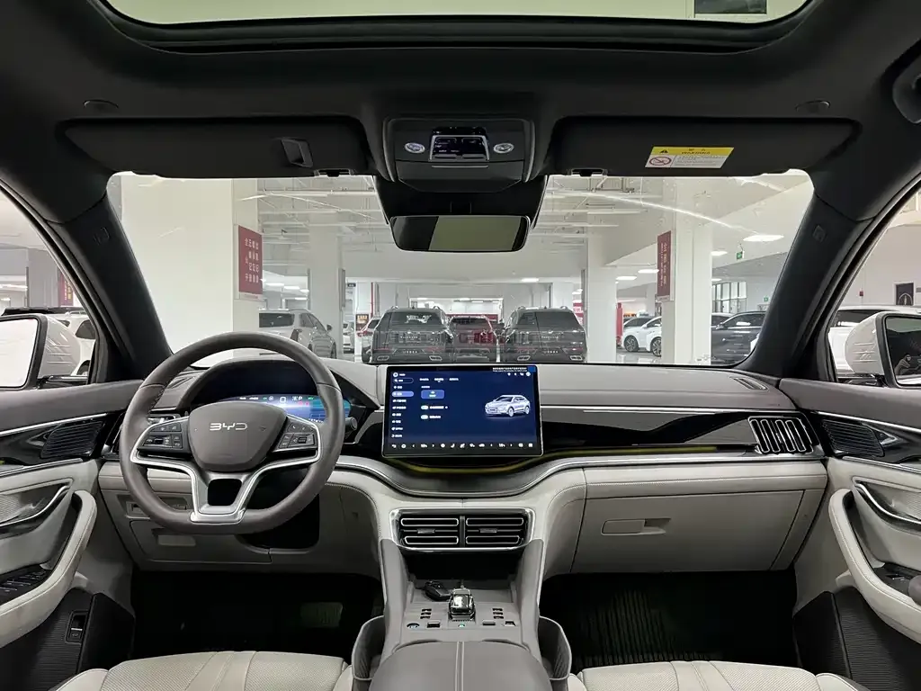 BYD PLUS New Energy — фото 10