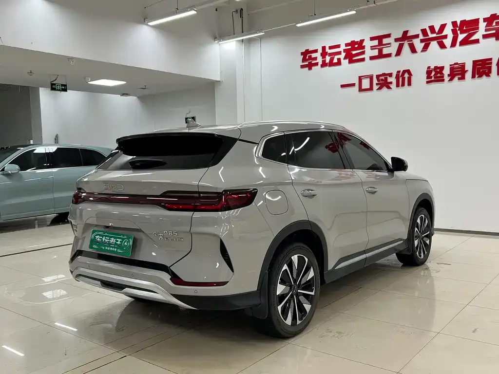 BYD PLUS New Energy — фото 4