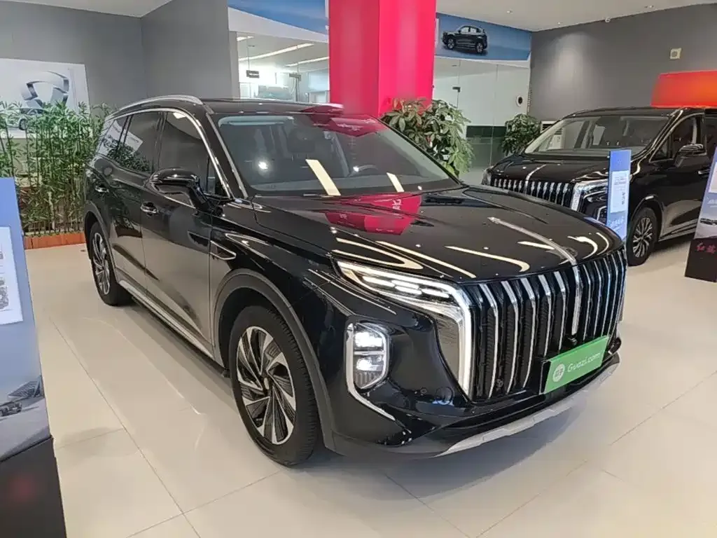 Hongqi HS7 PHEV — фото 9