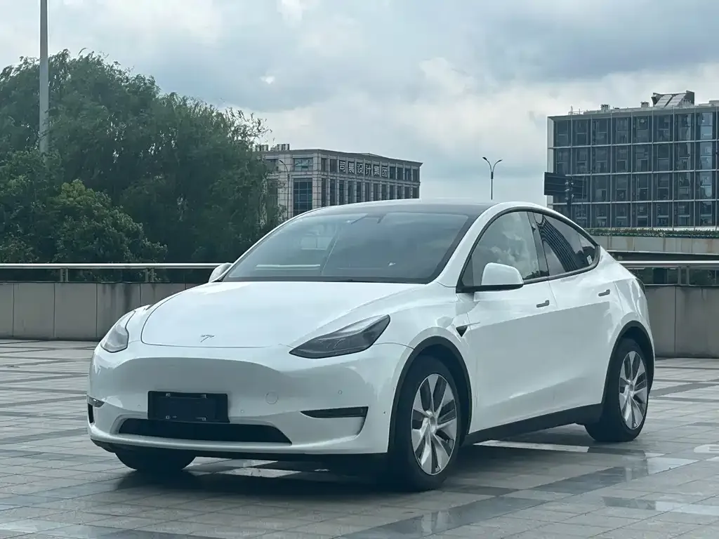 Tesla Model Y — фото 1