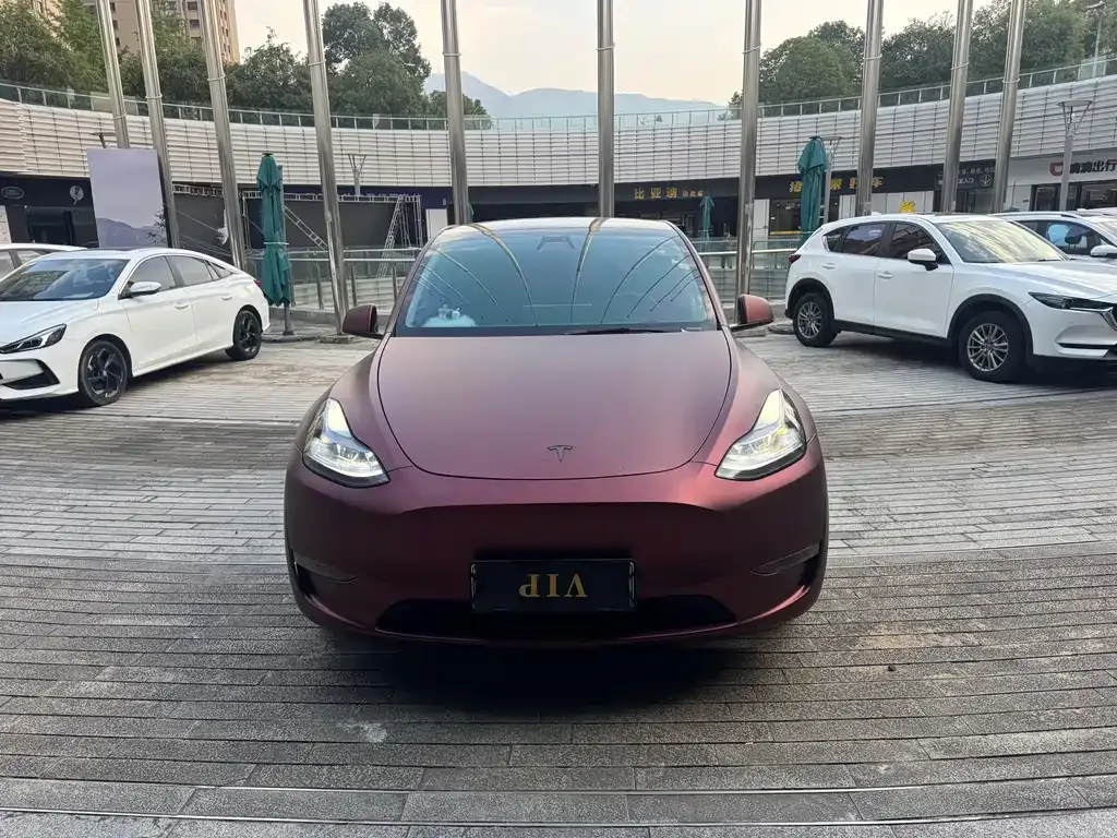 Tesla Model Y — фото 8