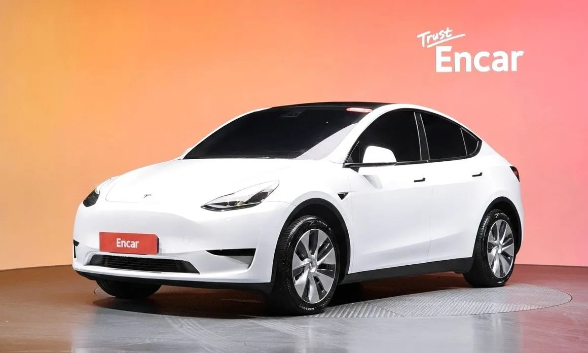 Tesla Model Y — фото 1