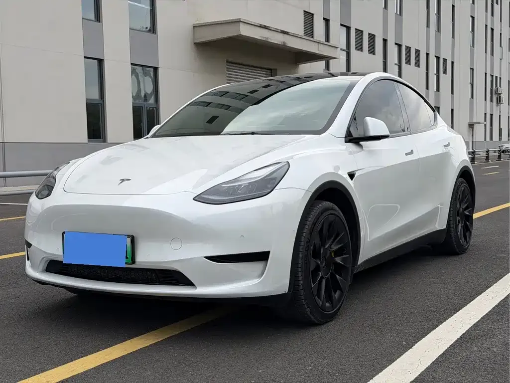 Tesla Model Y — фото 1