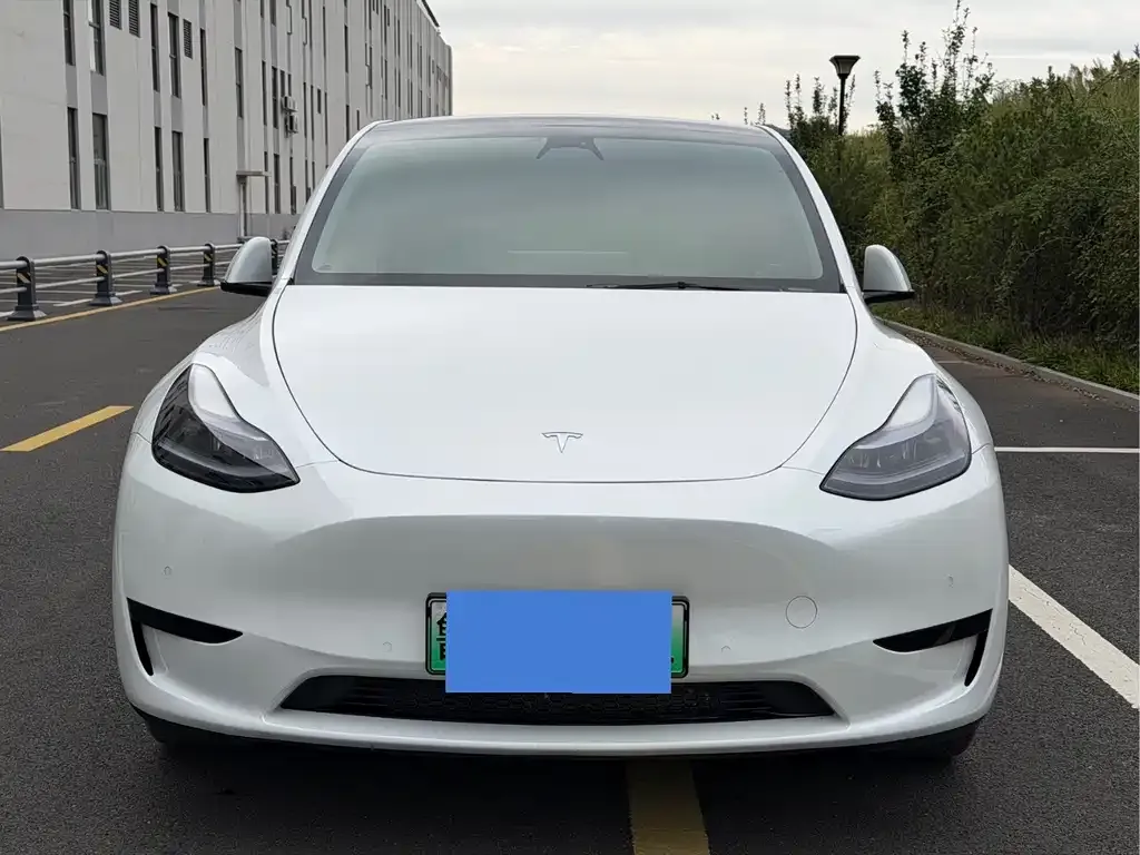 Tesla Model Y — фото 3