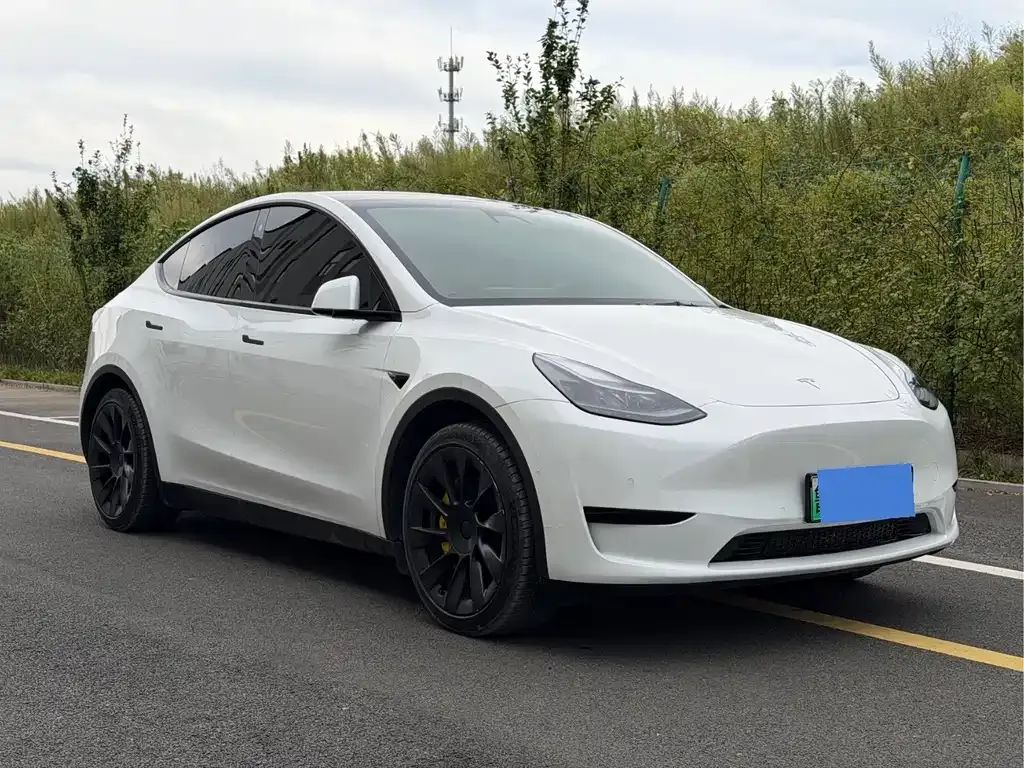 Tesla Model Y — фото 8