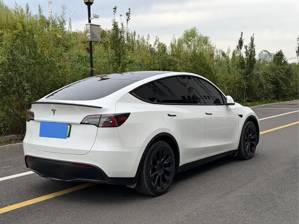 Tesla Model Y — фото 9
