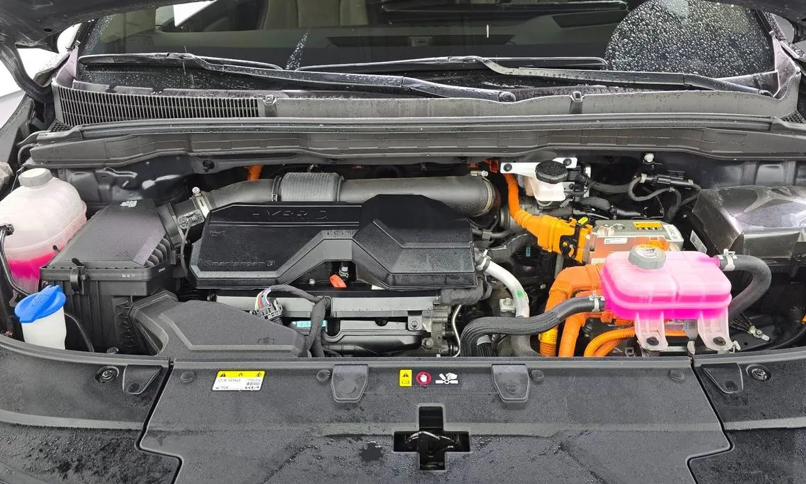 Kia Carnival — фото 10