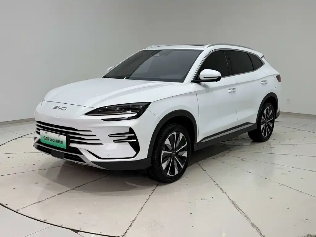 BYD PLUS New Energy — фото 1