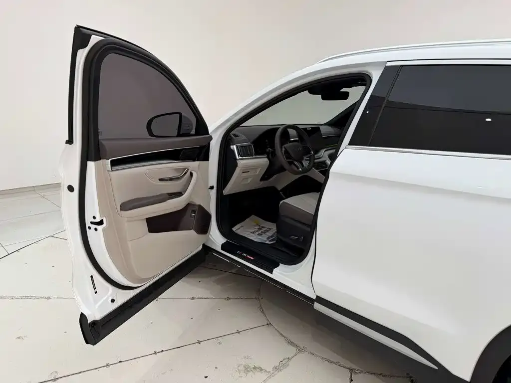 BYD PLUS New Energy — фото 4