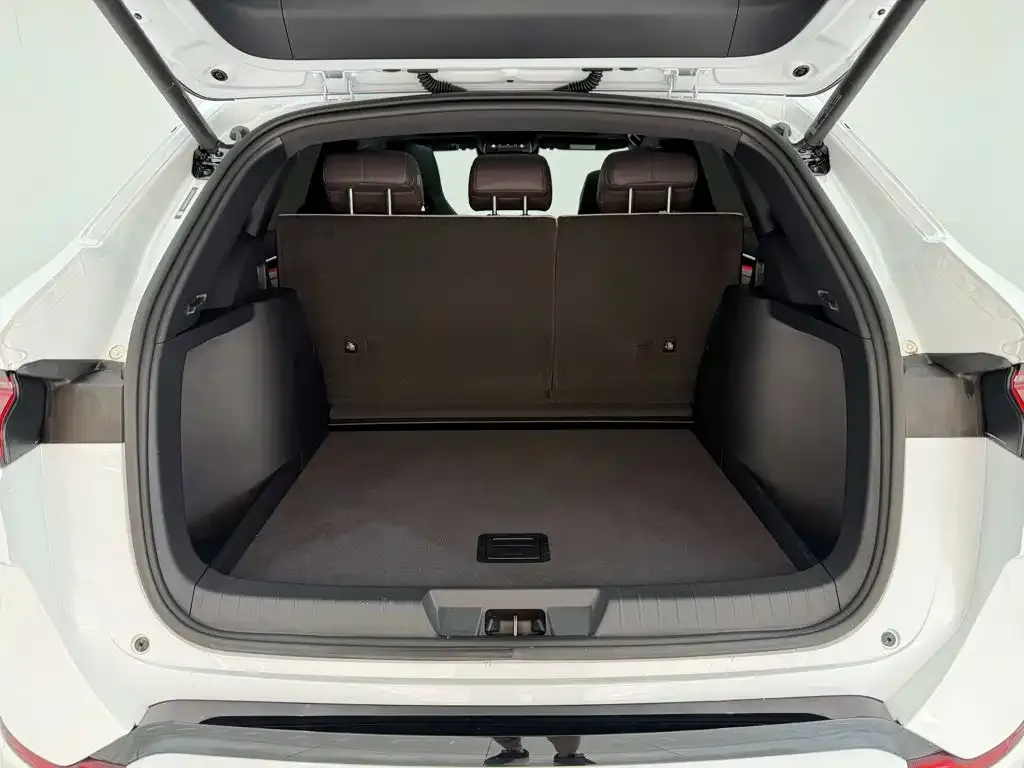 BYD PLUS New Energy — фото 10