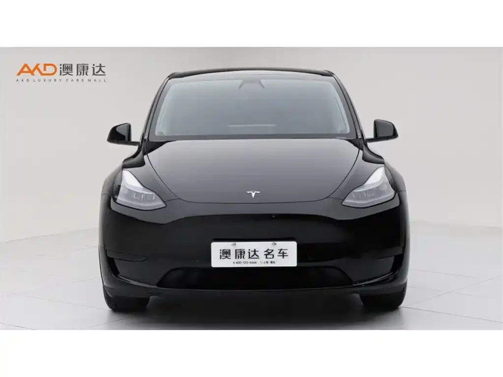 Tesla Model Y — фото 5
