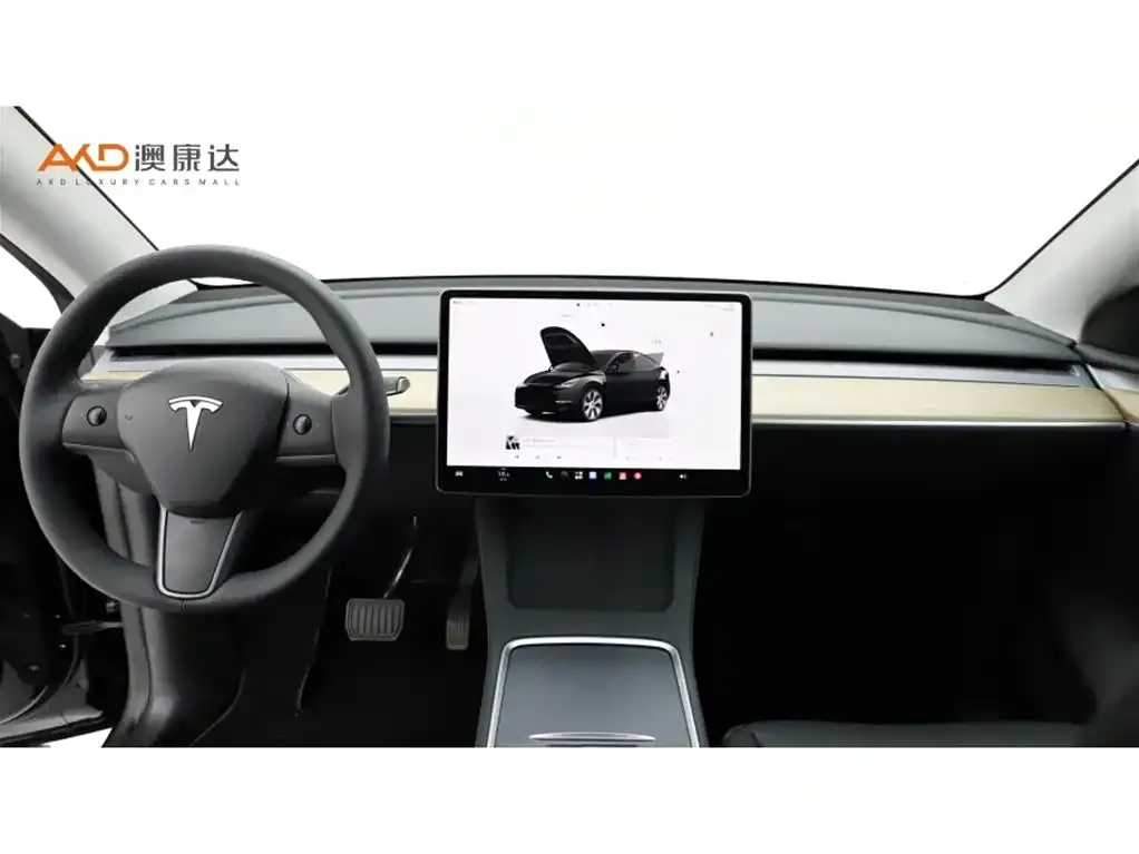 Tesla Model Y — фото 6