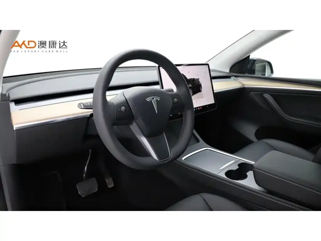 Tesla Model Y — фото 10