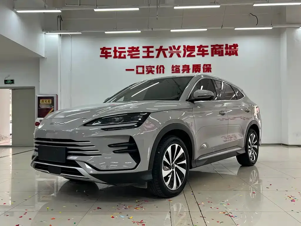 BYD PLUS New Energy — фото 1