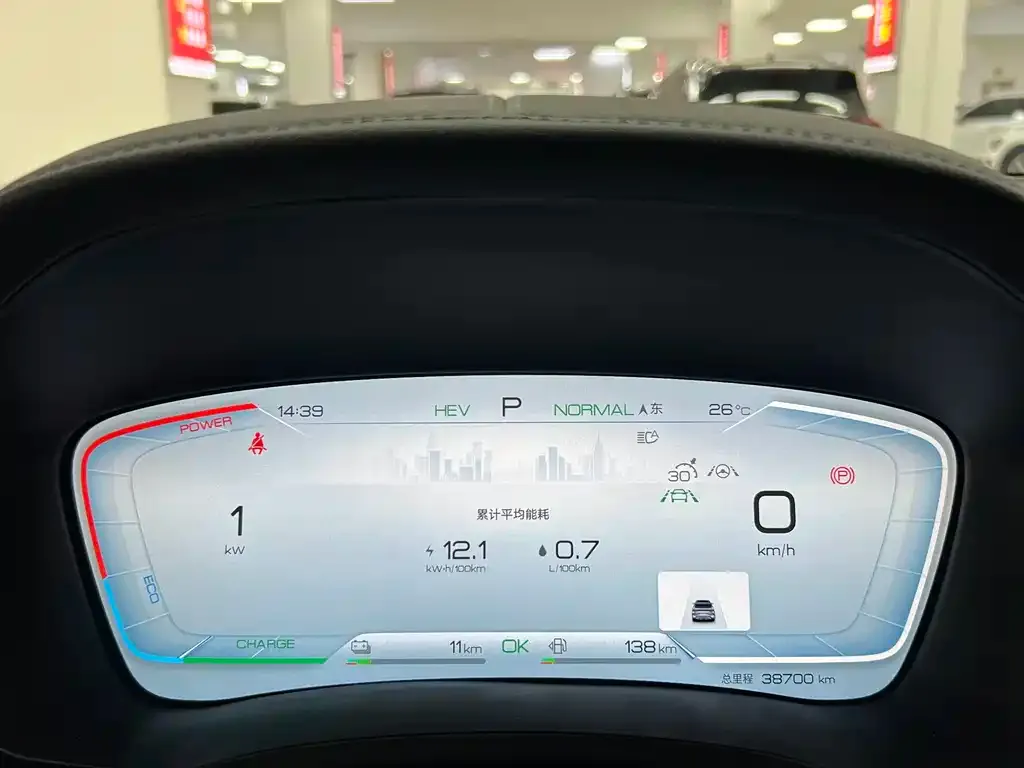 BYD PLUS New Energy — фото 9