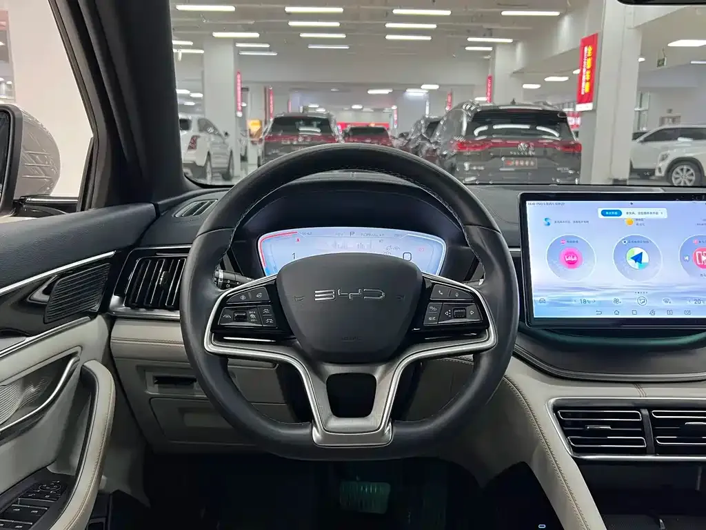 BYD PLUS New Energy — фото 6