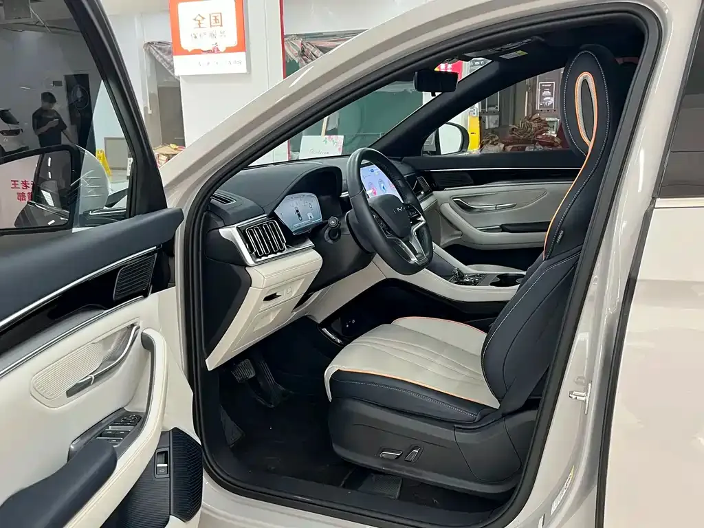 BYD PLUS New Energy — фото 8