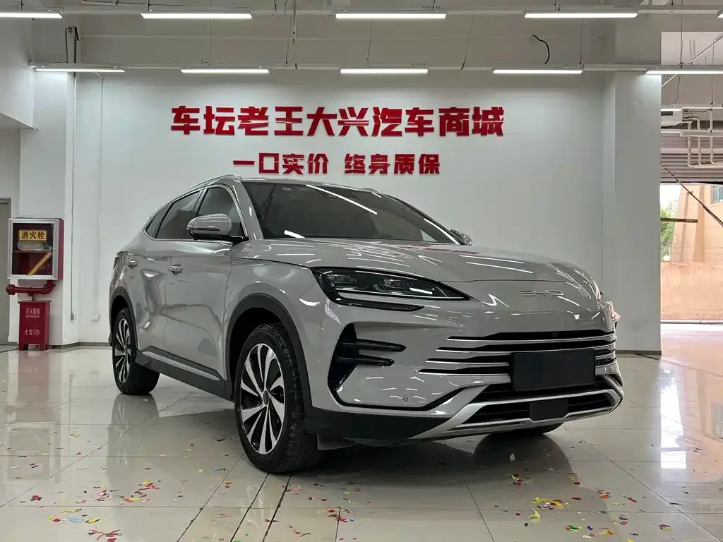 BYD PLUS New Energy — фото 10